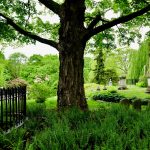 Mount Auburn Cemetery